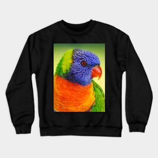 Rainbow Lorikeet Crewneck Sweatshirt